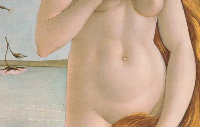 Venuksen syntymä, yksityiskohta Venuksen vartalosta, 1484 tempera kankaalle
